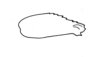 Phaulotypus dioscoridus (Popov, 1957): Fig. 15. hind femur. (Otu).