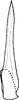 Aedeagus, ventral view on Shaddai xianensis Ma, 1981: Aedeagus, ventral view. (Observation).