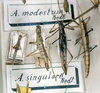 CollectionObject 1556922; 433bf4cc-9f08-4801-bb5a-02cbbca71bc3: copyright MNHN, Paris, Pantel coll. male (syntype). (CollectionObject).