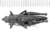 CollectionObject 1524862; d1045fa3-4608-48e4-85e6-0de0046dfb86: female, dorsal view (holotype of Locheuma pulchripes). (CollectionObject).