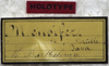 CollectionObject 1539577; e07c7a17-d7b7-4ab0-a775-30a971694e76: labels (holotype). (CollectionObject).