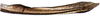 Ovipositor on Paradorydiina Evans, 1937: Paradorydium lanceolatum, 2nd valvulae (INHS). (Observation).