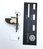 CollectionObject 1599763; MNCR 3,736,798, 32810079-61a9-4873-b0f1-551420b1a781: copyright MNCR. male (paratype). (CollectionObject).