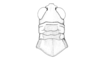 Ronderosia gracilis (Bruner, 1911): Fig. 2N. male, head and pronotum, dorsal view. (Otu).