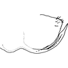 Pygofer, lateral view on Asymmetrasca lutowa (Dworakowska, 1971): Pygofer, lateral view. (Observation).