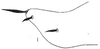 Pygofer, lateral view: !! display not done !! on Exitianus Ball, 1929: Pygofer, lateral view. (Observation).