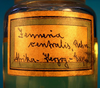 CollectionObject 1500612; fcc4c47c-8a00-4079-8fdf-0711d5a2edd6: specimen vial (holotype). (CollectionObject).