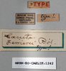CollectionObject 1540721; b0d6da32-61f3-4947-8a15-ffcc77d541d8: labels (holotype of Tanita ferrierei). (CollectionObject).