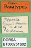 CollectionObject 1501702; ee9e2143-682f-4e39-b0c2-ff9e199114ca: labels. (CollectionObject).