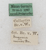 labels. Depicts CollectionObject 1565965; 6cc7072a-e99f-4f34-bb7b-fd3f9e19488c, a CollectionObject.