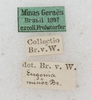 CollectionObject 1565965; 6cc7072a-e99f-4f34-bb7b-fd3f9e19488c: labels. (CollectionObject).