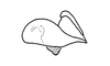 Digamacris amoena (Stål, 1878): Fig. 26. epiphallus, lateral view. (Otu).