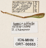 CollectionObject 1544462; 94b3a81c-2c2b-442b-bac5-de24eb3a7ebe: labels and hind leg. (CollectionObject).
