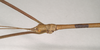 CollectionObject 1559400; NHMUK(SF IMPORT DUPLICATE) 844596, 26fc4080-bb42-41d7-a07c-faec81bdce35: copyright Natural History Museum, London. male: head, lateral view of Lonchodes brevipes (holotype). (CollectionObject).