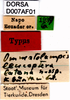 CollectionObject 1566733; ec9fee22-6bf2-4ee7-850a-908d4e0f68ce: labels (syntype). (CollectionObject).