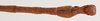 CollectionObject 1561537; 46e2a3b8-f6de-4edc-b637-ee6946c6febd: copyright NHRS, Stockholm. male: end of abdomen, dorsal view (holotype). (CollectionObject).
