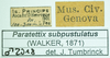 CollectionObject 1585169; 5ae49bb1-0c7d-4836-8f04-29276c7ce87d: labels. (CollectionObject).