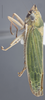 Habitus, lateral view: !! display not done !! on Draeculacephala clypeata Osborn, 1926: Lateral. (Observation).