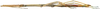 CollectionObject 1584179; 695919a3-543d-48b9-9a84-bb824e664a00: copyright RBINS, Brussels. female, lateral view (paratype). (CollectionObject).;CollectionObject 1584180; 9e65ce56-1acf-40c4-a1f9-1f7bfda31f1a: copyright RBINS, Brussels. female, lateral view (paratype). (CollectionObject).