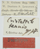 CollectionObject 1577199; f0ceecaa-1e17-4ca1-87fe-44af99477015: labels (paratype). (CollectionObject).