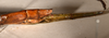 CollectionObject 1561204; a6e75a64-5bb5-4e33-94cb-b4702485f890: copyright OUMNH. female: end of abdomen, lateral view of synonym Bacteria sarmentosa female (holotype). (CollectionObject).
