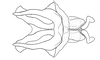 Baeacris talamancensis Rowell & Carbonell, 1977: Fig. 15. male genitalia without epiphallus, dorsal view. (Otu).