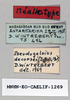 CollectionObject 1573370; 8c91fb1b-35ba-48ca-a943-a175b2b9ab8a: female, labels (neoallotype). (CollectionObject).