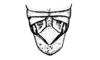 Aucacris eumera Hebard, 1929: Fig. 10. male, genital segment, dorsal view. (Otu).