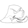 Pygofer, lateral view on Anufrievia parisakazu Cao & Zhang, 2018: Pygofer, lateral view. (Observation).