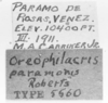 CollectionObject 1524008; 74720236-d462-4e9e-8864-225681288f99: labels (holotype). (CollectionObject).