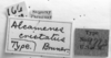 CollectionObject 1533405; a1f24750-c587-48fc-9f11-9872ac2730f9: Image Carbonell, C.S. labels (holotype). (CollectionObject).