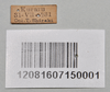 CollectionObject 1559758; 7601fd61-524c-437e-8a31-823fc6fbd25c: copyright NTUC. female, data label (paralectotype). (CollectionObject).;CollectionObject 1559759; e467e78d-6ce4-4632-b449-eec0a1e2ea1a: copyright NTUC. female, data label (paralectotype). (CollectionObject).