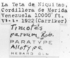 CollectionObject 1525992; ea4421ed-a580-4c30-956c-15dd633ef581: labels (allotype). (CollectionObject).