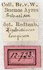 labels (syntype). Depicts CollectionObject 1505642; NMW 12723, 062d6ad8-65a7-4473-8b7f-c8c66eeeed27, a CollectionObject.