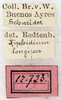 CollectionObject 1505642; NMW 12723, 062d6ad8-65a7-4473-8b7f-c8c66eeeed27: labels (syntype). (CollectionObject).