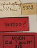 CollectionObject 1535004; 3d082103-7375-45e8-b488-de77fffbd8e9: labels (paralectotype). (CollectionObject).