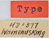 CollectionObject 1552940; 9f1470cd-4694-40b5-86fc-8f76ee9f6174: 13mm. (CollectionObject).