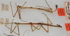 CollectionObject 1559010; b1b7af32-929c-4341-b187-0c427688e1ac: copyright USNM, Washington. (CollectionObject).;CollectionObject 1559011; 4b79db5f-56ee-41d9-945c-417a68134647: copyright USNM, Washington. (CollectionObject).