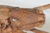 CollectionObject 1505791; b3801d44-1fe5-4103-9de9-dc2106ee58e1: female, dorsal view (syntype). (CollectionObject).