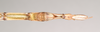 CollectionObject 1562290; NHMUK(SF IMPORT DUPLICATE) 845097, 4c1409f3-e1db-468f-b421-0b5dbc88a3a9: copyright Natural History Museum, London. male: end of abdomen, ventral view of synonym Diura typhaeus (holotype). (CollectionObject).