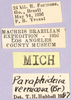 labels. Depicts CollectionObject 1499673; 28174ff4-f5d8-492f-bf7b-4ba285abf8d5, a CollectionObject.