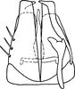 Subgenital plate, ventral view on Dicraneurula exigua (Vilbaste, 1968): Pygofer ventral appendages, ventral view (D. silvicola Vilbaste, 1968). (Observation).