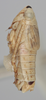 Habitus, lateral view: Lateral. (Observation).