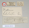 CollectionObject 1561206; NHMUK(SF IMPORT DUPLICATE) 845231, 017ea3bc-4a32-4789-b6c8-71a8bd68f4b1: copyright Natural History Museum, London. female, data labels (holotype). (CollectionObject).