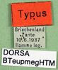 labels (holotype). Depicts CollectionObject 1500462; c817e3de-6085-4987-aad8-2c2b4ce14d29, a CollectionObject.