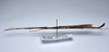 CollectionObject 1576305; e35775d5-d564-4d20-84fe-5ac93c471556: copyright SMSM, Kuching. male, lateral view (paratype). (CollectionObject).