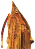 Head on Caetana pulchra Domahovski, Gonçalves, Takiya & Cavichioli, 2019: Male holotype [DZUP]: head, pronotum and mesonotum, lateral view. (Observation).
