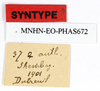 CollectionObject 1557718; d493d077-105a-413b-b0fe-970d9f7be5ee: copyright MNHN, Paris. female, data labels (syntype). (CollectionObject).;CollectionObject 1557719; c43a70c9-8b86-4ebc-9533-98b8a25d5a2a: copyright MNHN, Paris. female, data labels (syntype). (CollectionObject).