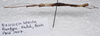 CollectionObject 1584591; a26e3753-afa6-4ef3-a92f-10bfbc05b3a6: (CollectionObject).;CollectionObject 1584592; ecb514a5-73b9-4dc8-89c5-9a95fb9e6edc: (CollectionObject).