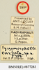 CollectionObject 1518507; e6565f0d-d821-4c65-984e-9151700da597: male, labels (holotype). (CollectionObject).